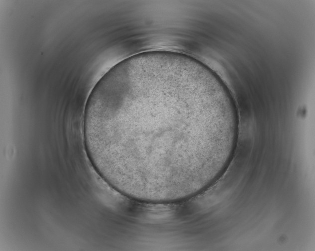 X0000091361338200708171516