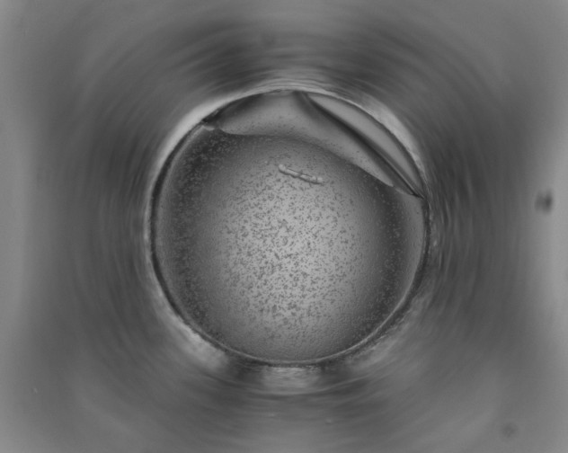 X0000091361339200708171516