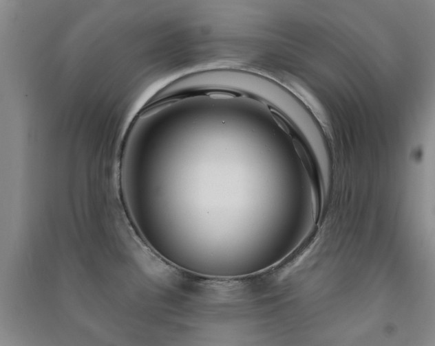 X0000091361340200708171516