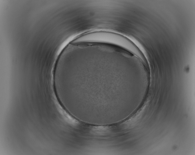 X0000091361341200708171516