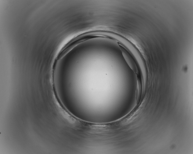 X0000091361342200708171516