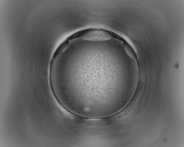 X0000091361343200708171516