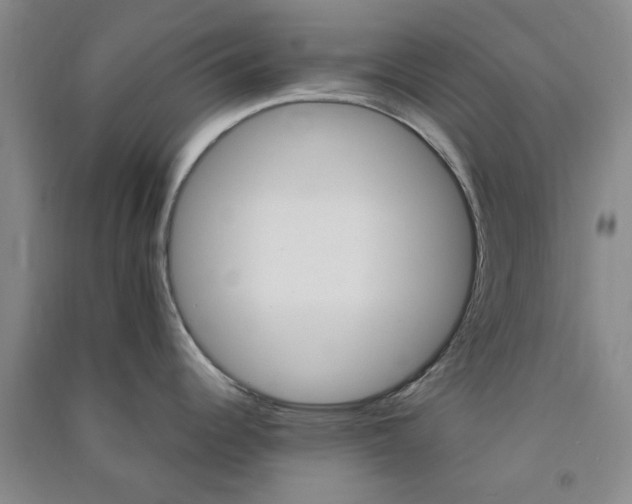 X0000091361344200708171516