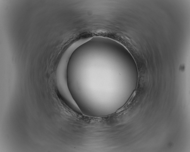X0000091361345200708171515