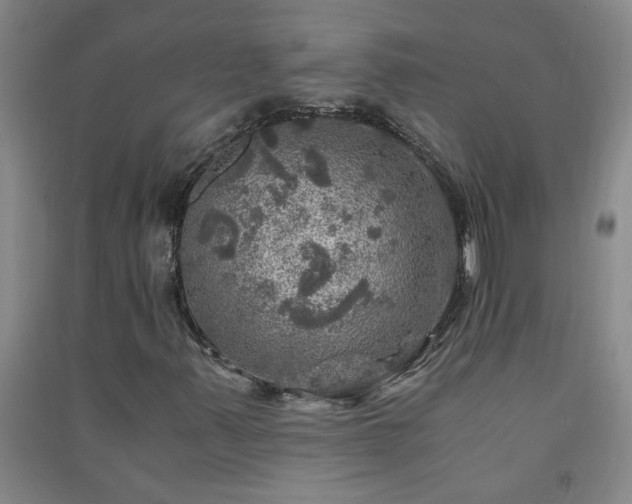X0000091361347200708171515