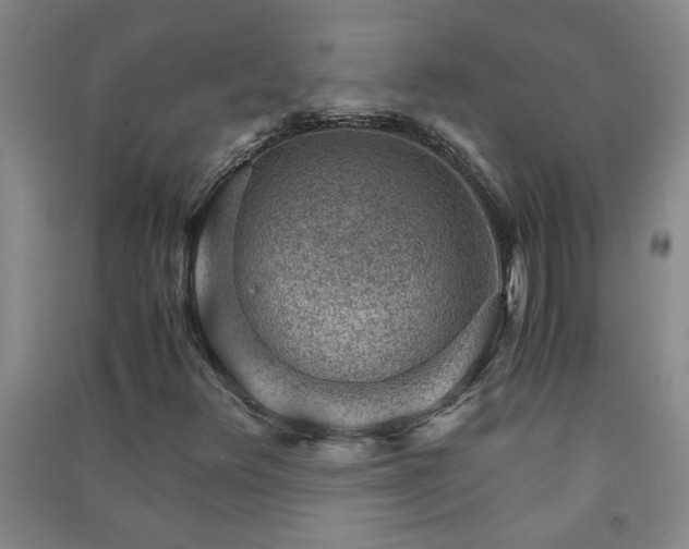 X0000091361348200708171515