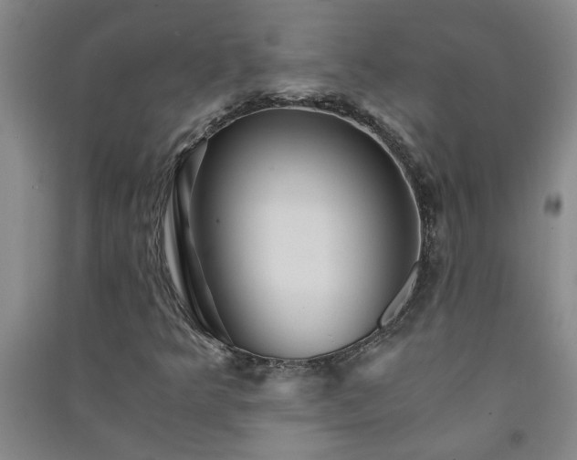 X0000091361349200708171515