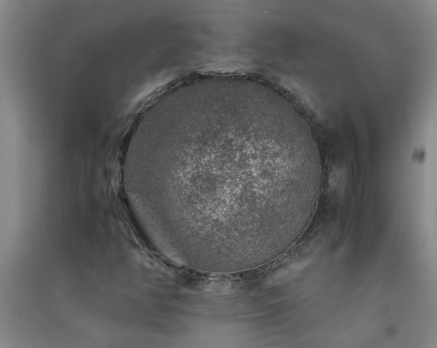 X0000091361350200708171515