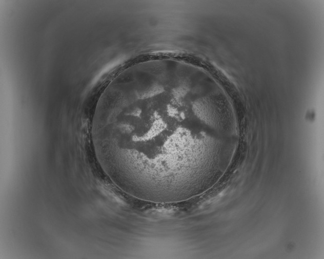 X0000091361351200708171515