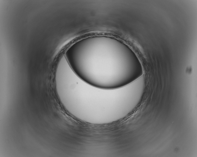 X0000091361352200708171515