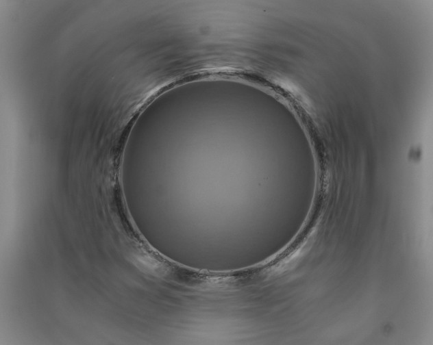 X0000091361353200708171515