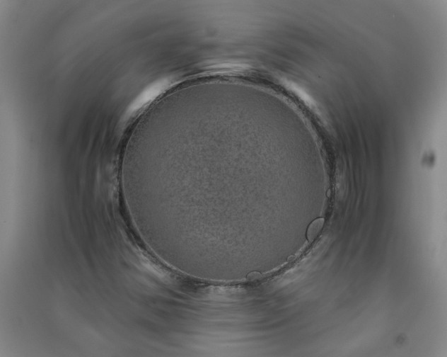 X0000091361354200708171515