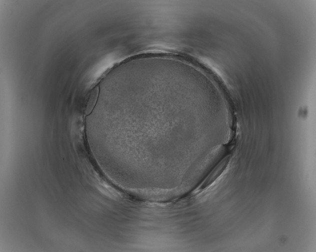 X0000091361355200708171515