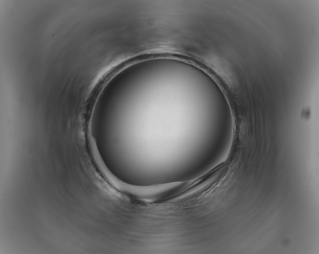 X0000091361356200708171515