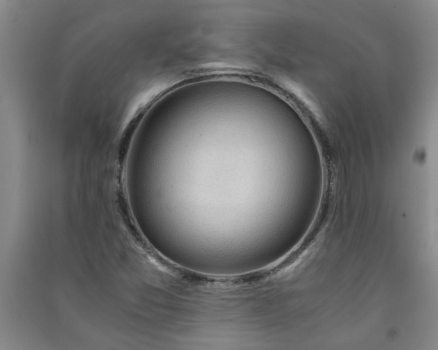 X0000091361357200708171515
