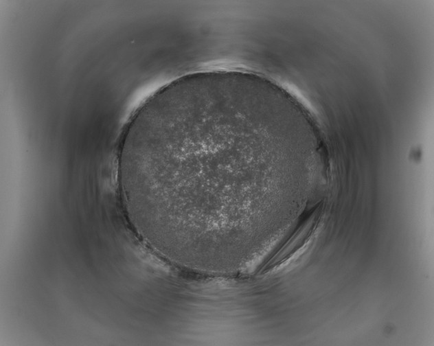X0000091361358200708171515