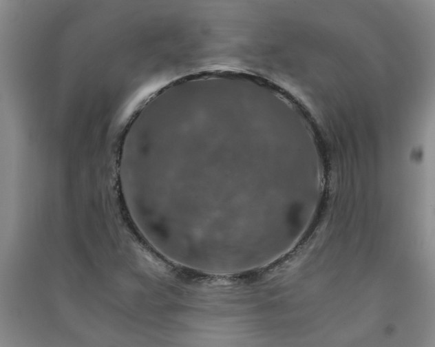X0000091361359200708171515