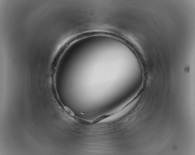 X0000091361360200708171515