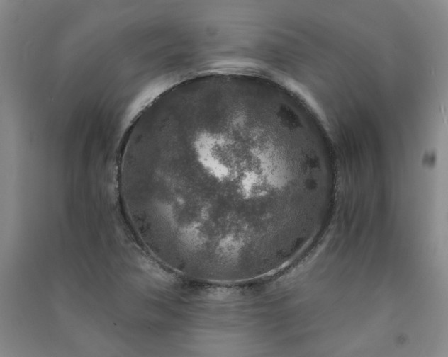 X0000091361362200708171515