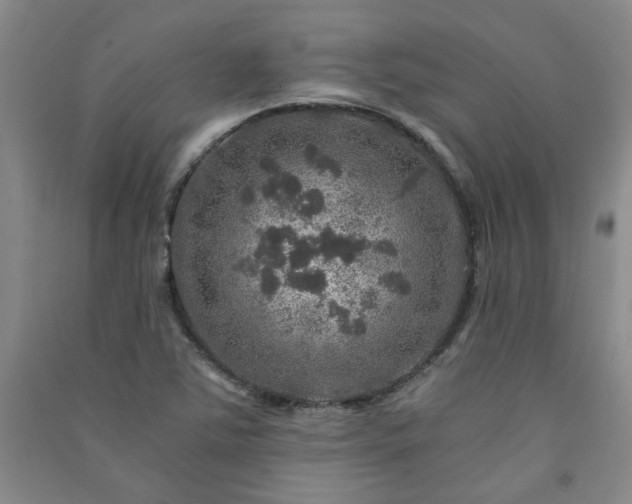 X0000091361363200708171515