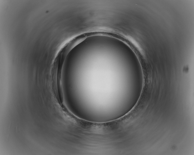 X0000091361364200708171515