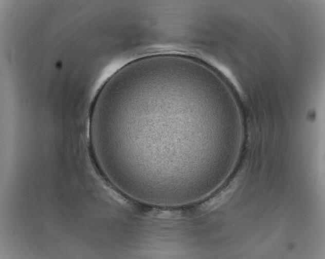 X0000091361365200708171515