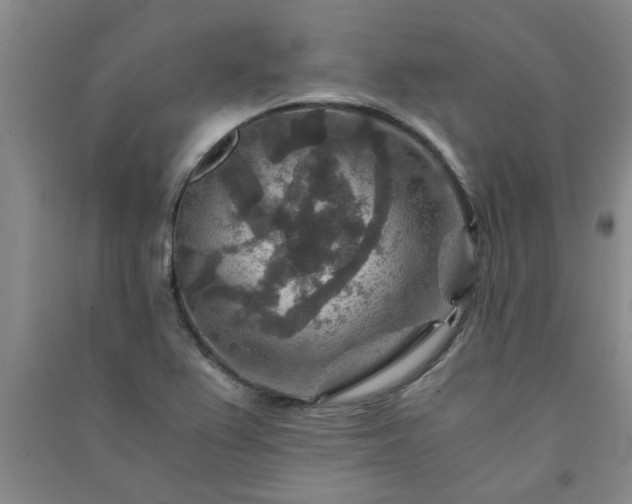 X0000091361367200708171515