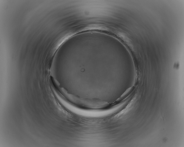 X0000091361369200708171515