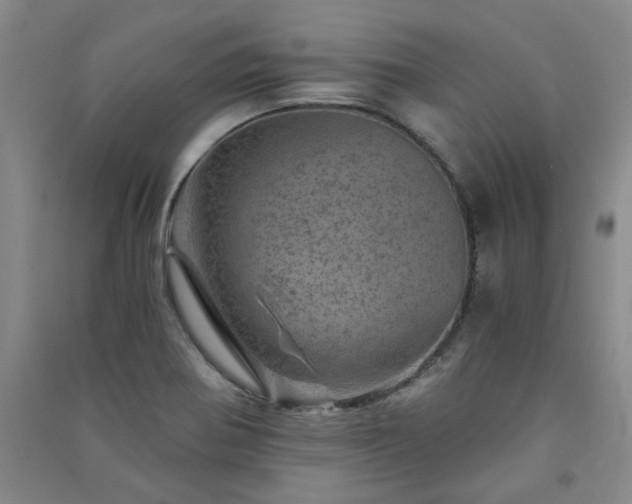 X0000091361370200708171515