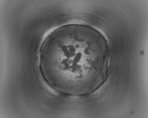 X0000091361371200708171515