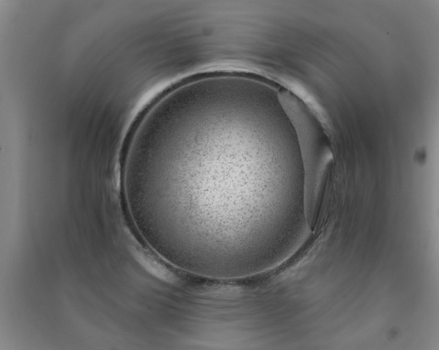 X0000091361372200708171515