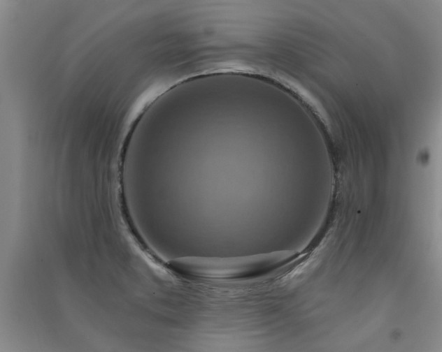 X0000091361373200708171515