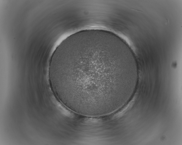X0000091361374200708171515