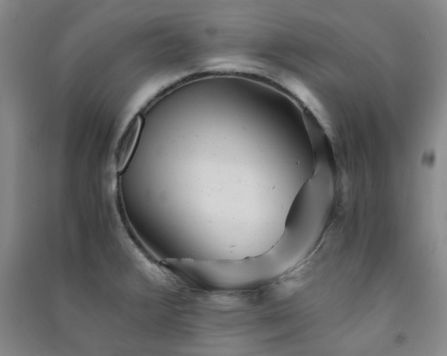 X0000091361376200708171515