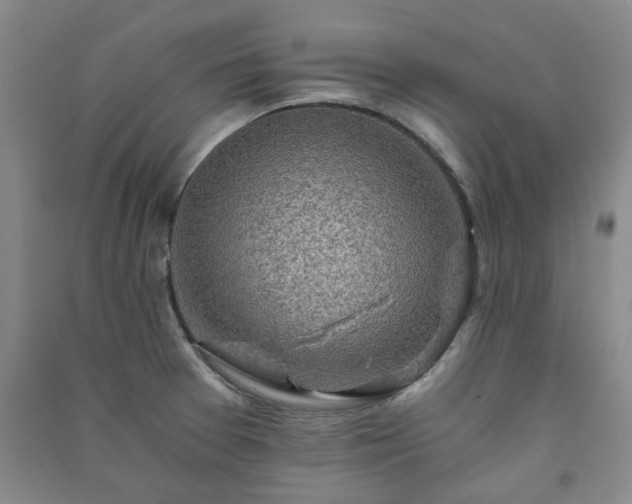 X0000091361377200708171515
