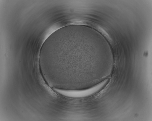 X0000091361378200708171515