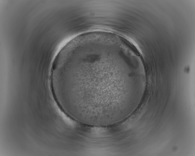 X0000091361379200708171515