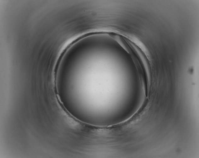 X0000091361380200708171515