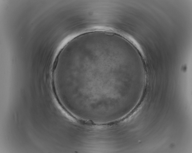 X0000091361381200708171515