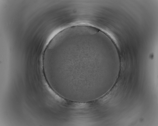 X0000091361382200708171515