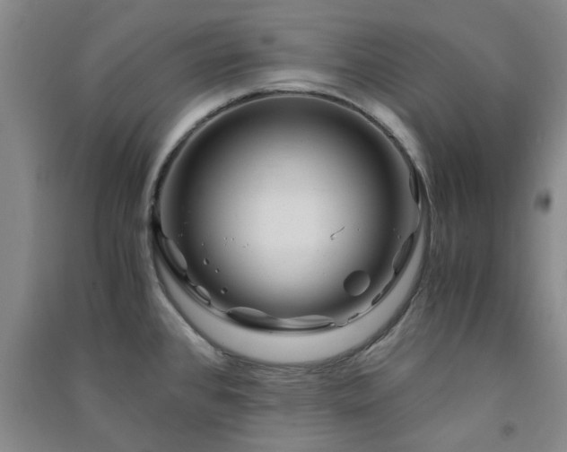 X0000091361384200708171515