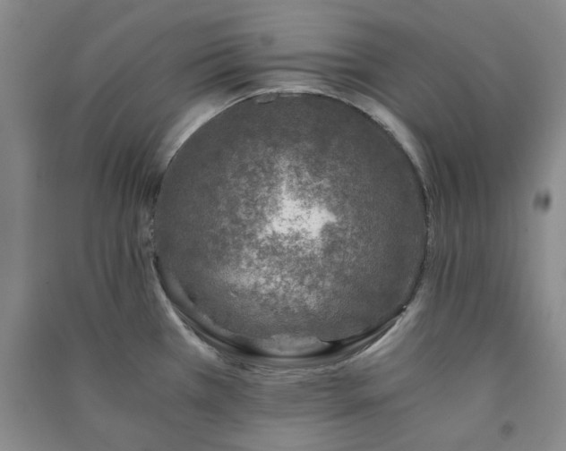 X0000091361385200708171515