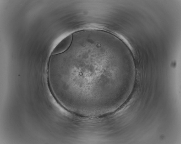 X0000091361387200708171515