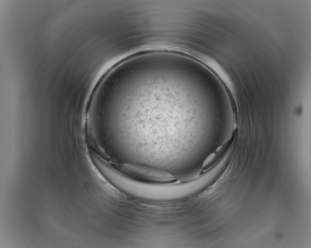 X0000091361388200708171515