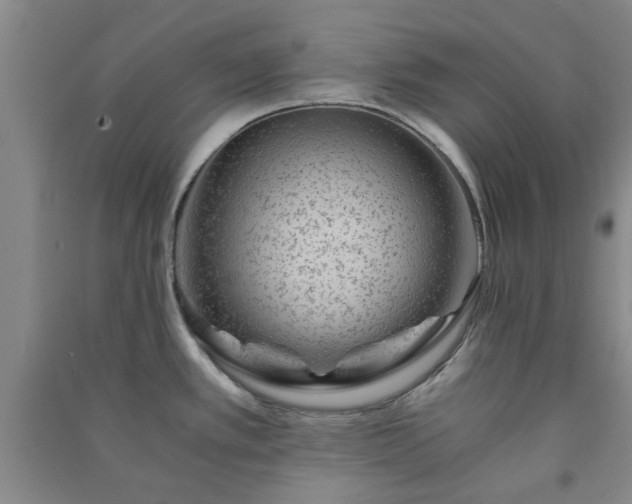 X0000091361389200708171515