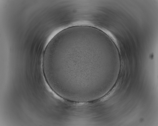 X0000091361390200708171515