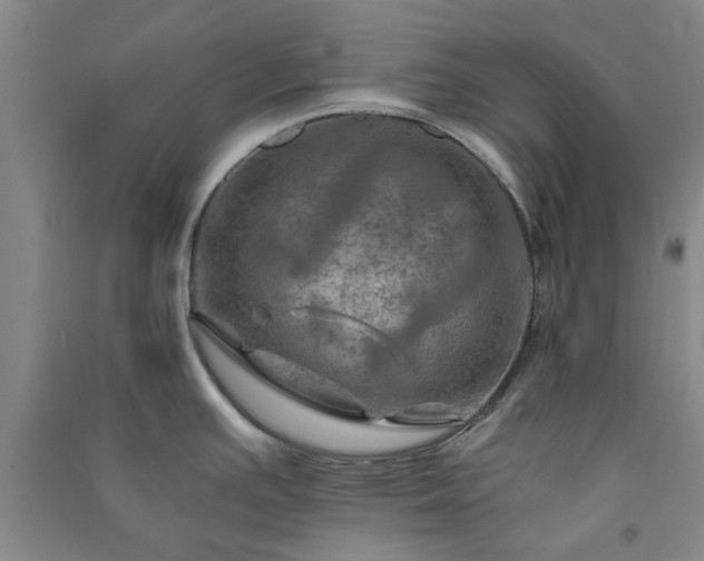 X0000091361391200708171515