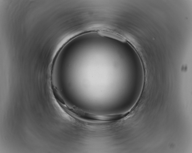 X0000091361392200708171515