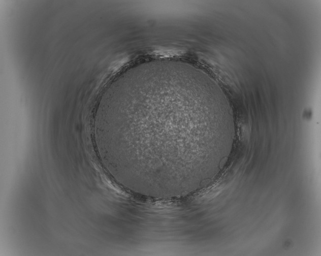 X0000091361393200708171514