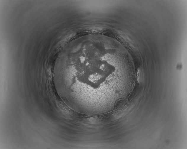 X0000091361395200708171514